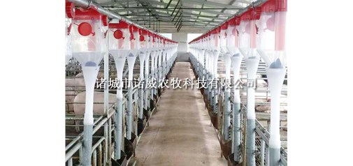  猪自动化饲养管理系统的优点